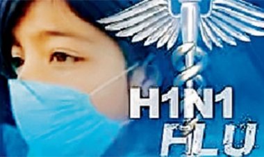स्वाइन फ्लू के मरीजों का आंकड़ा 176 पहुंचा