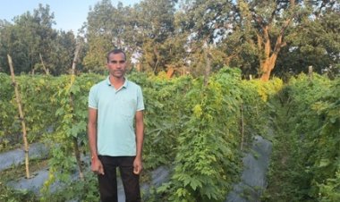 परंपरागत खेती से व्यावसायिक उद्यानिकी का सफर