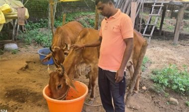 छत्तीसगढ़ का स्वावलंबन : नस्ल सुधार ने बदली किसान विनोद की किस्मत, घर की बछिया बनी आर्थिक समृद्धि का आधार