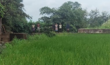 सेवा की कहानी : स्टॉपडेम से खुशहाल हुए आदिवासी परिवार