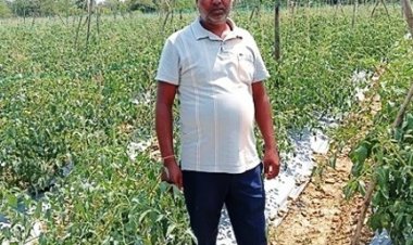 सेवा की कहानी : कम पानी में खीरे की खेती से मुकेश ने कमाए 2.25 लाख रुपये, अब 4 एकड़ में टमाटर की तैयारी