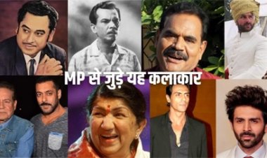 MP से बॉलीवुड तक इन सितारों का सफर