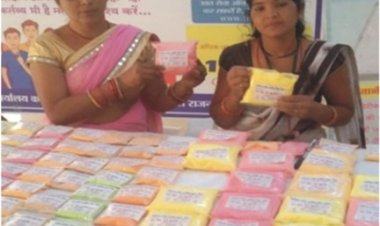 लखपति दीदी डोंगरगढ़ की दिनेश्वरी सोरी ने बिहान योजना से बदली तकदीर