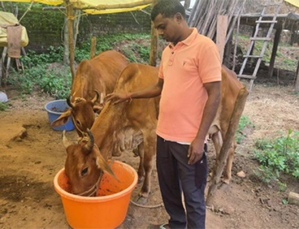 छत्तीसगढ़ का स्वावलंबन : नस्ल सुधार ने बदली किसान विनोद की किस्मत, घर की बछिया बनी आर्थिक समृद्धि का आधार