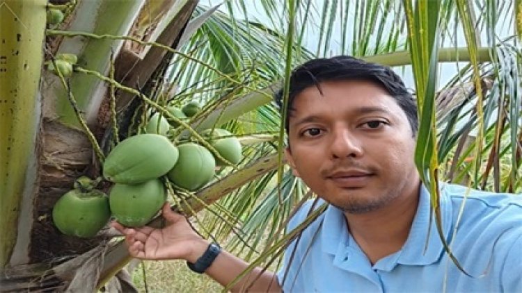 नारियल की खेती से बदली तस्वीर, कोंडागांव बना मिसाल