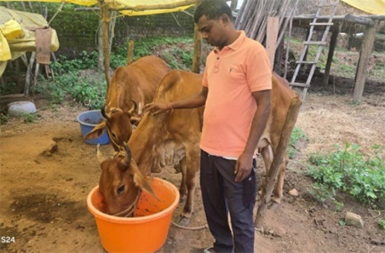 छत्तीसगढ़ का स्वावलंबन : नस्ल सुधार ने बदली किसान विनोद की किस्मत, घर की बछिया बनी आर्थिक समृद्धि का आधार