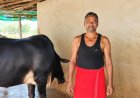 सेवा की कहानी : राज्य डेयरी उद्यमिता योजना से मनोज कुमार पटेल ने संवारा डेयरी व्यवसाय, आत्मनिर्भरता की ओर बढ़ाए कदम