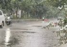सुकमा-दंतेवाड़ा समेत 4 जिलों में बारिश का अलर्ट