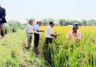 ग्राम बगौद, जिला बेमेतरा में ‘खेत बचाओ अभियान’ का शुभारंभ