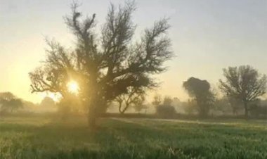 कुछ इलाकों में बारिश, बिजली गिरने की चेतावनी