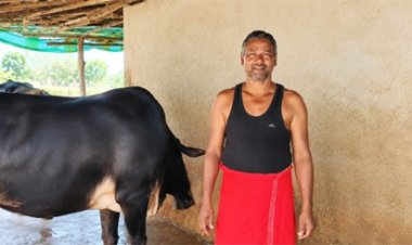 सेवा की कहानी : राज्य डेयरी उद्यमिता योजना से मनोज कुमार पटेल ने संवारा डेयरी व्यवसाय, आत्मनिर्भरता की ओर बढ़ाए कदम