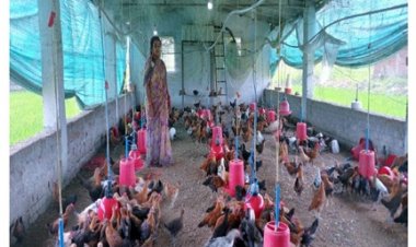 सेवा की कहानी : विभागीय योजनाओं के अभिसरण से ग्रामीण महिला बनीं उद्यमी