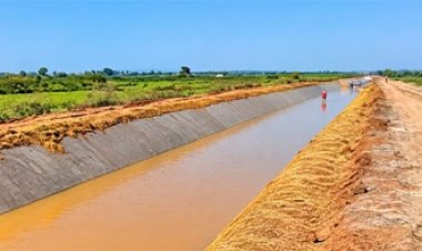 सेवा की कहानी : सुरही जलाशय योजना से 1,362 हेक्टेयर क्षेत्र में बढ़ी सिंचाई सुविधा, किसानों की खुशहाली को मिला नया आधार