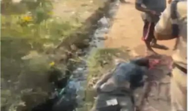 शराब भट्टी के पास नाले में मिला शव, जांच में जुटी पुलिस
