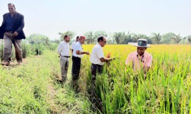 ग्राम बगौद, जिला बेमेतरा में ‘खेत बचाओ अभियान’ का शुभारंभ