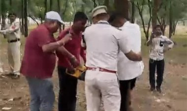 1100 पेड़ों की कटाई के विरोध में प्रदर्शन