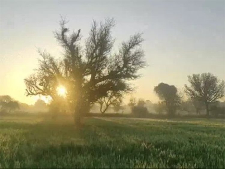 कुछ इलाकों में बारिश, बिजली गिरने की चेतावनी