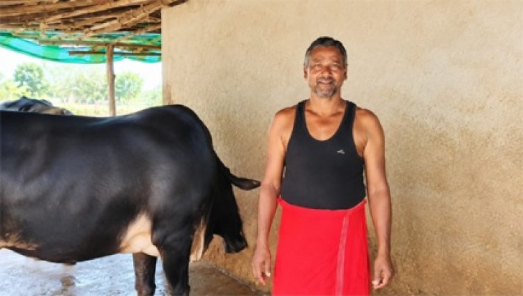 सेवा की कहानी : राज्य डेयरी उद्यमिता योजना से मनोज कुमार पटेल ने संवारा डेयरी व्यवसाय, आत्मनिर्भरता की ओर बढ़ाए कदम