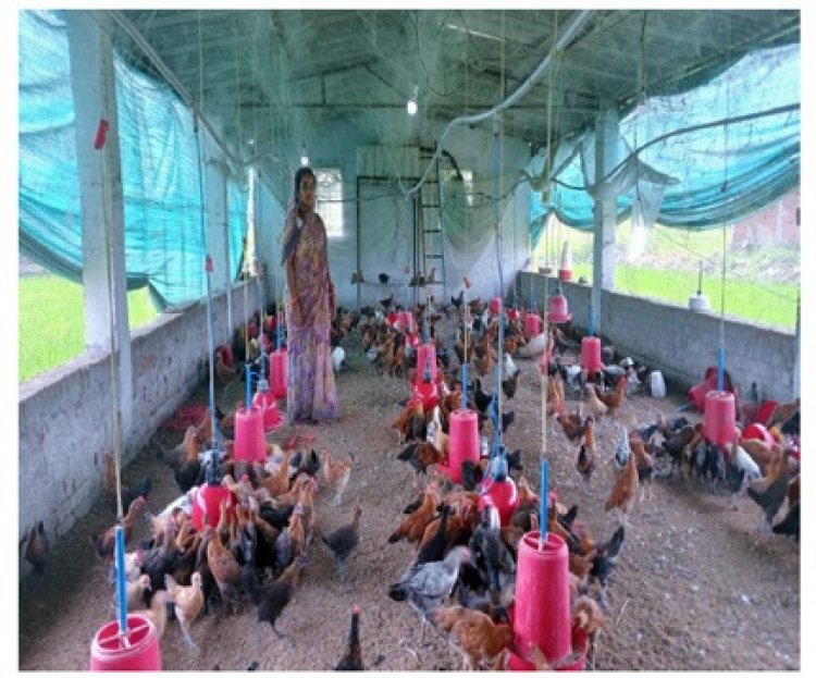 सेवा की कहानी : विभागीय योजनाओं के अभिसरण से ग्रामीण महिला बनीं उद्यमी