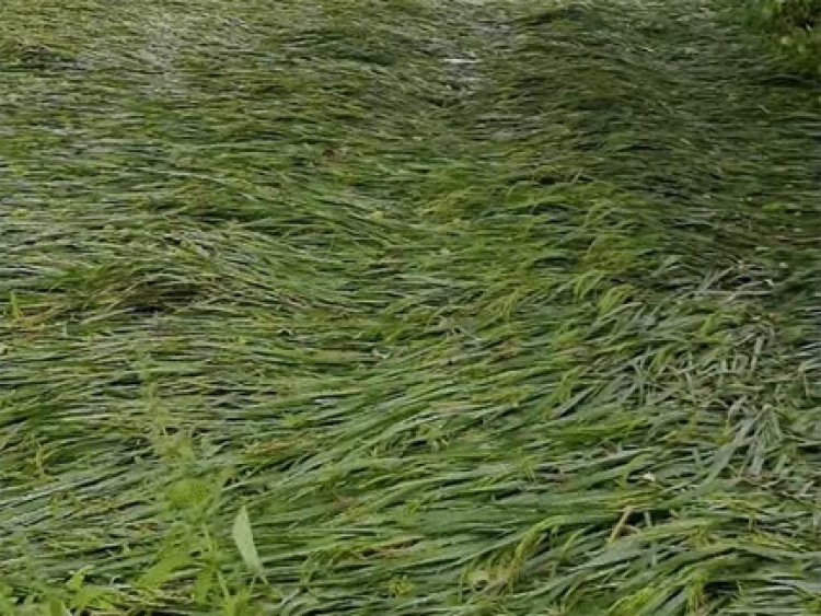 छत्तीसगढ़ में फिर बढ़ेगी गर्मी, 3-5 डिग्री चढ़ेगा पारा